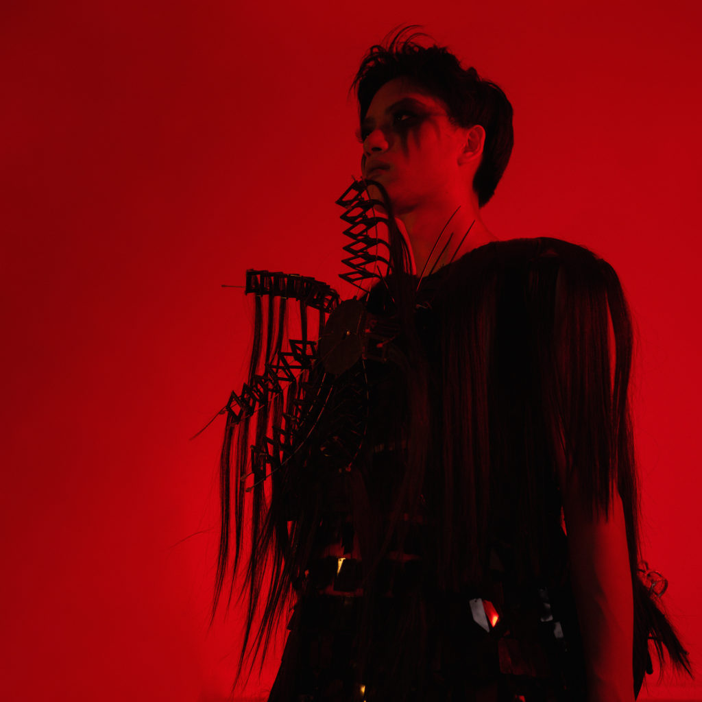 TheCelebrationOfHair